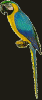 bird food
